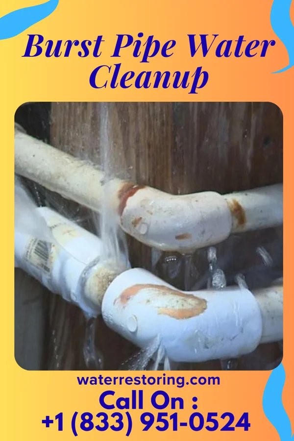 Burst Pipe Water Cleanup in West Freehold, NJ