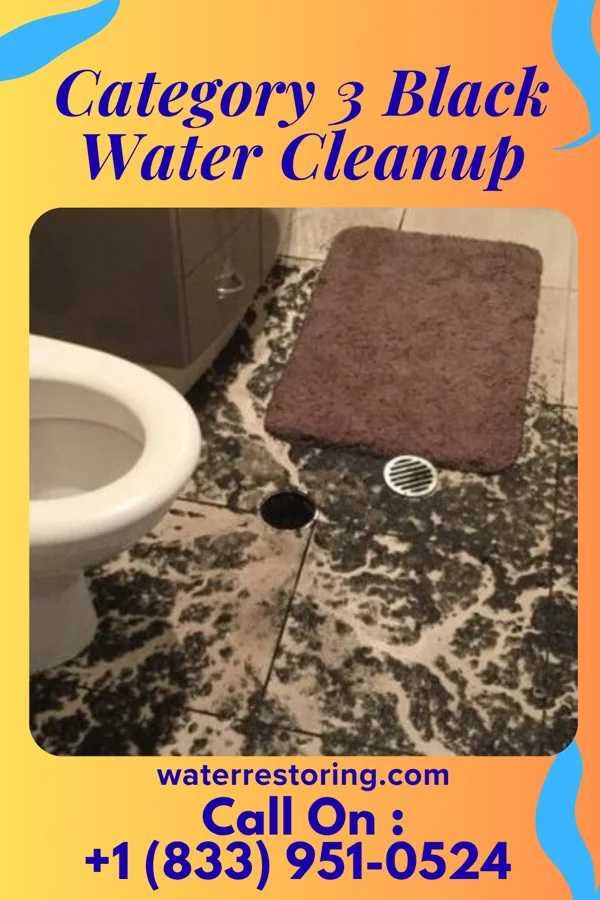 Category 3 Black Water Cleanup in West Freehold, NJ