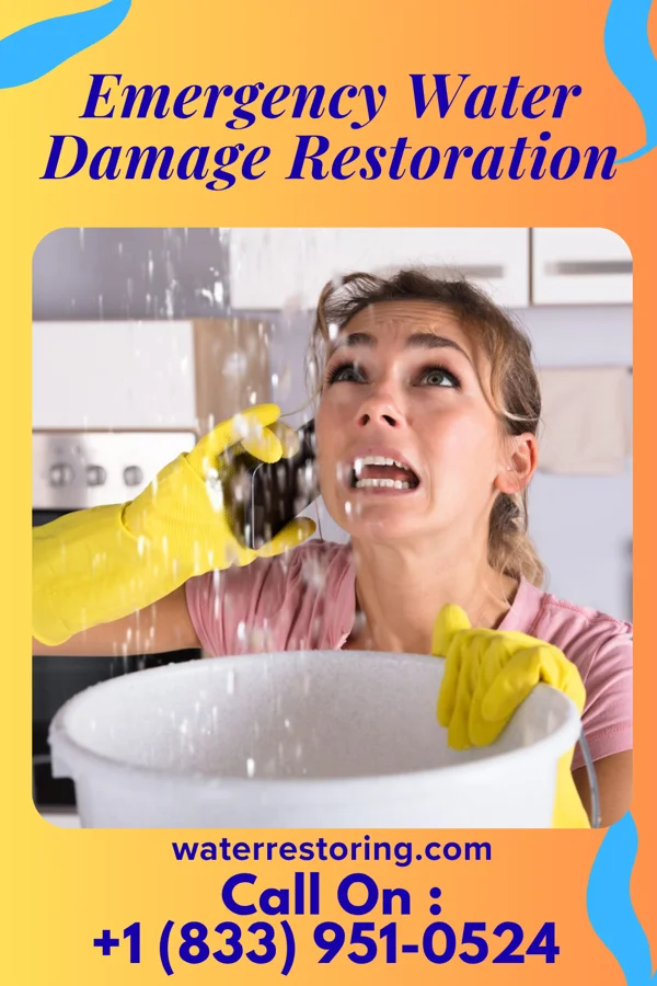 Emergency Water Damage Restoration in West Freehold, NJ