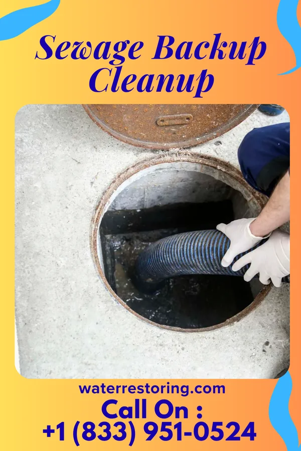 Sewage Backup Cleanup in West Freehold, NJ