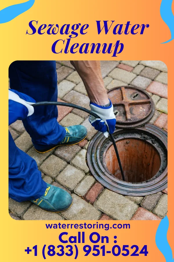 Sewage Water Cleanup in West Freehold, NJ